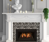 Chaska 25 White Fireplace Insert Syracuse NY