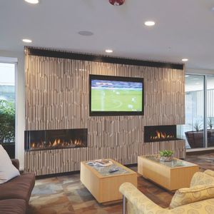 Ortal: Corner Right Side RS 44 Gas Fireplace