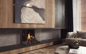 Ortal: Wilderness Three Sided 25H Fireplace